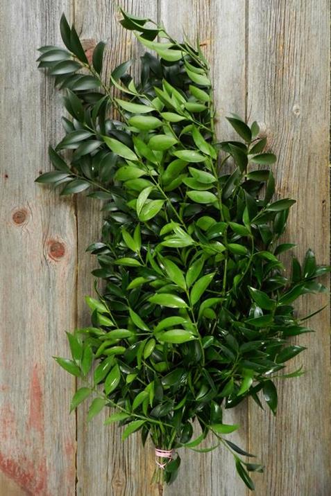  NAGI GREENS